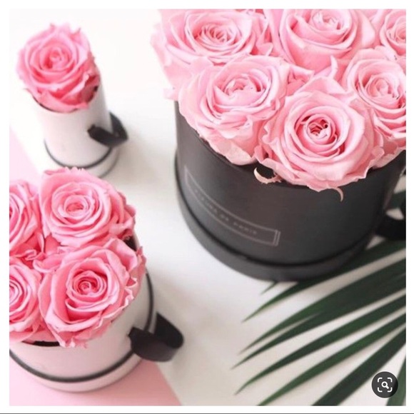 Meet your Posher, Michelle - Picture 5 of 16